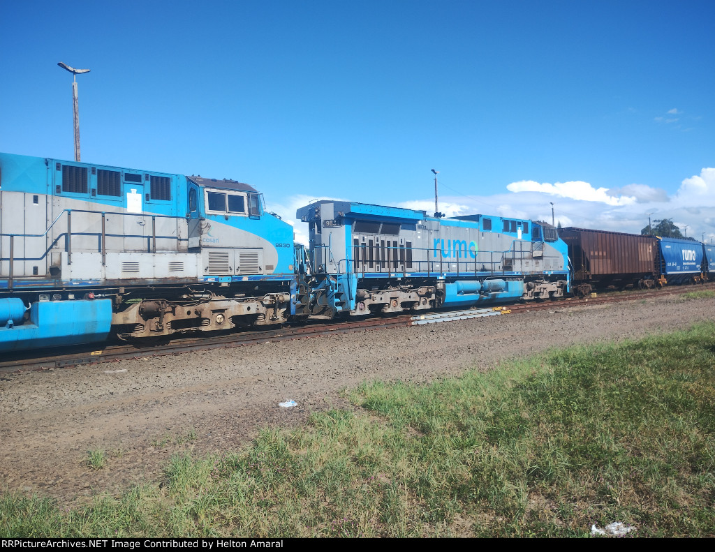 RUMO 9831